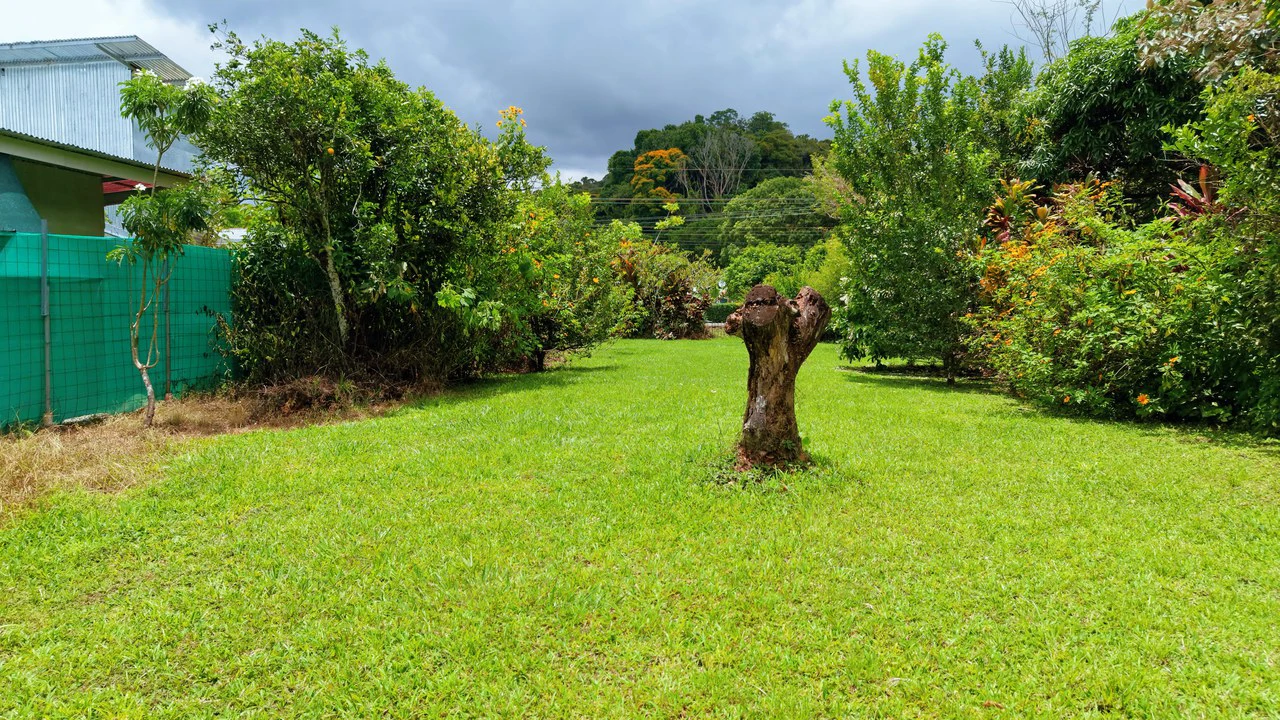 LOTE PLANO CON FRUTALES: Mountain Home Construction Site For Sale in General Viejo - Gallery image 4