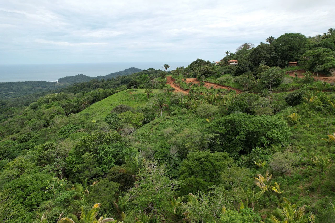 Lotes Paraíso: Spectacular Ocean and Mountain View 5.77 acres Development Land - Gallery image 12
