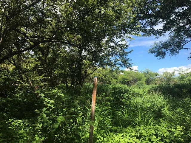 Large Development Land for Sale in Liberia, Guanacaste, Costa Rica - Gallery image 14