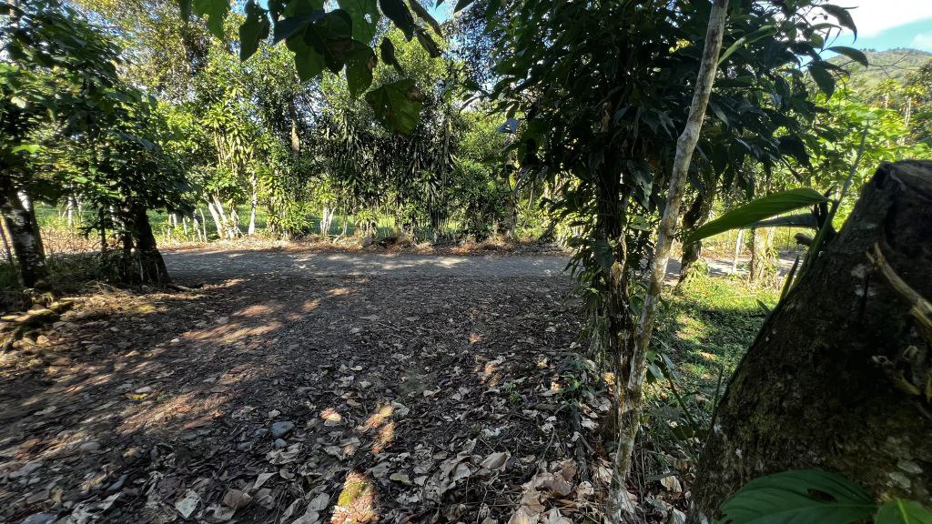 Mountain Home Construction Site For Sale in Guadalupe - photo 6