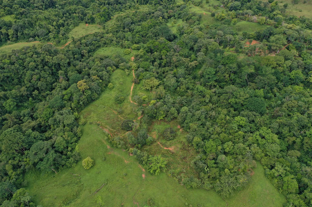 19 Acre Riverfront Lot with Private Waterfall la Perla Dominical - Gallery image 19