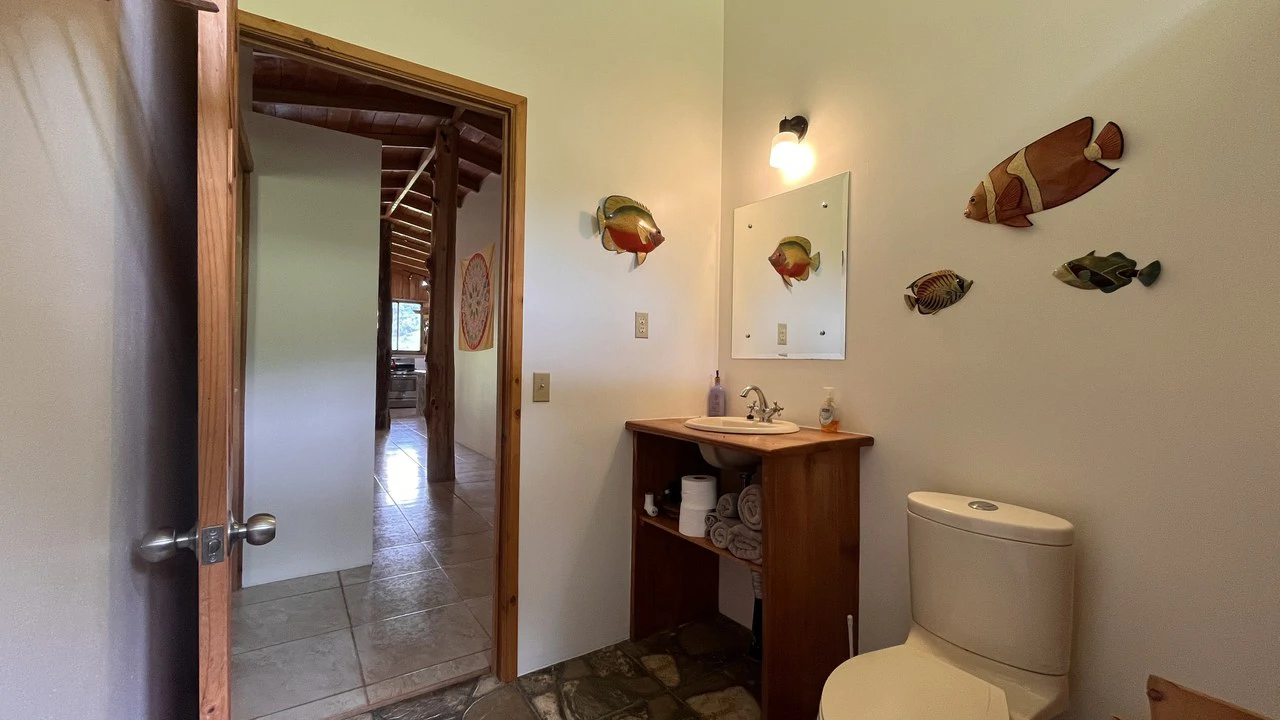 Mountain House For Sale in San Isidro del General - photo 24