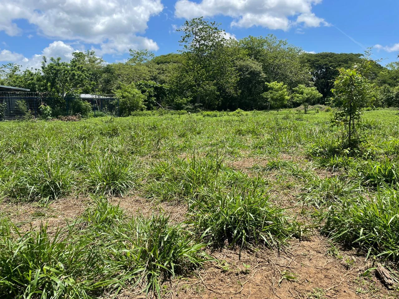 Building lots for sale, 6 available properties 10 minutes away from Liberia - Gallery image 3