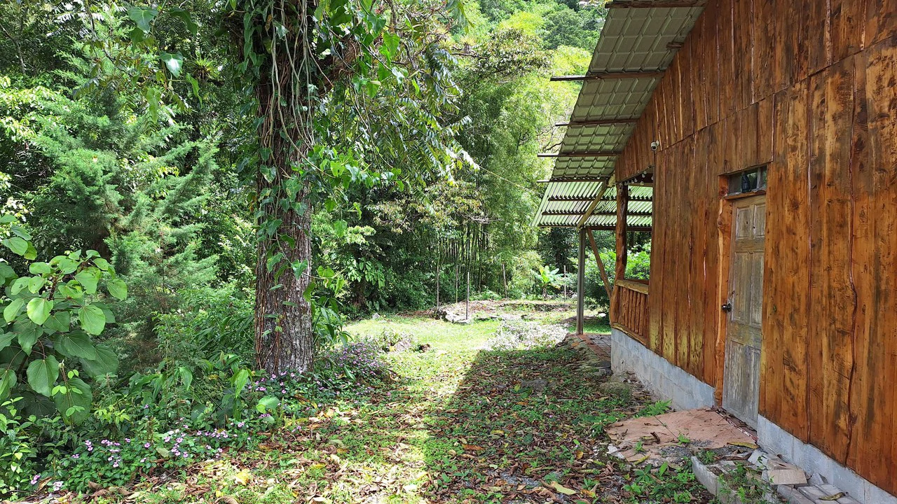 Propiedad en cedral: Mountain Home Construction Site For Sale in Cajón - Gallery image 20