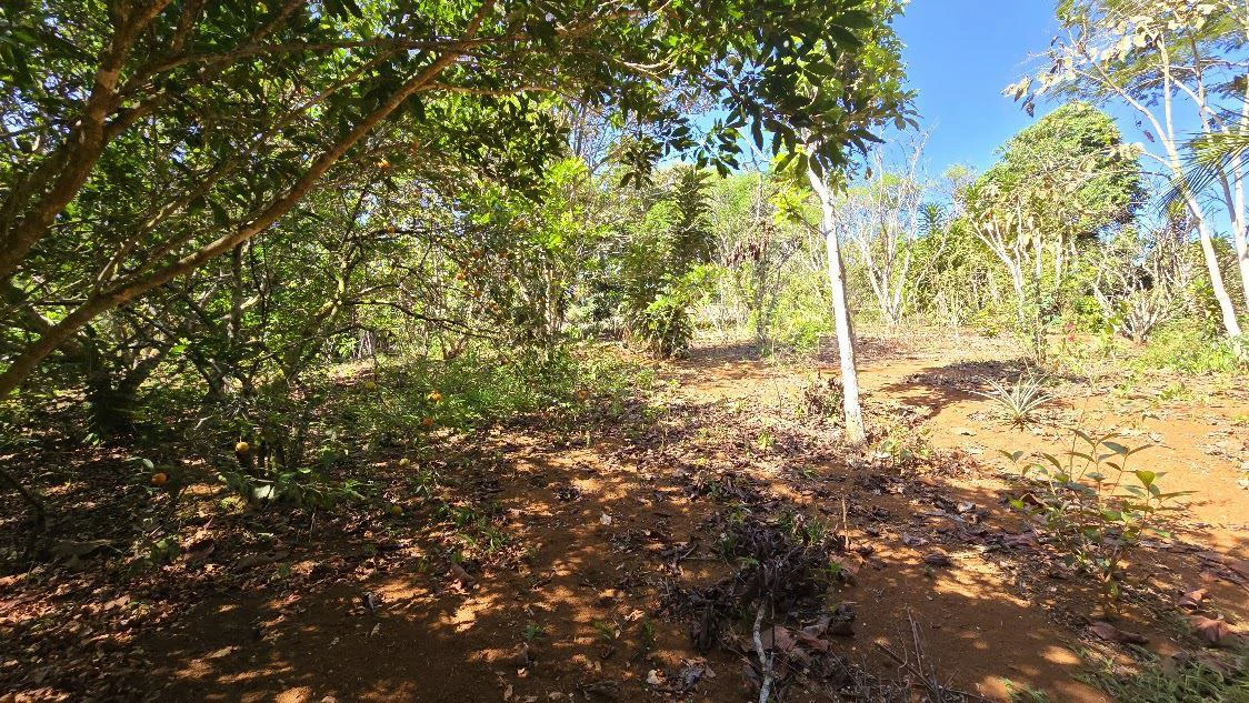 Home Construction Site For Sale in La Ceniza - Gallery image 12