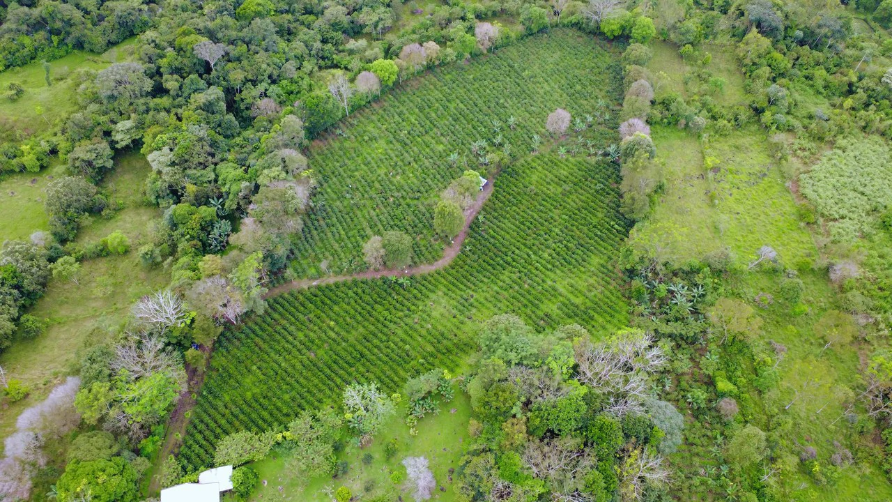 Countryside Home Construction Site For Sale in Santa Elena de San Isidro - Gallery image 4