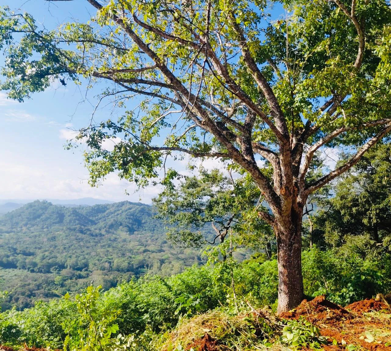 Ocean View lot for sale Coyote beach Guanacaste Costa Rica - Gallery image 4