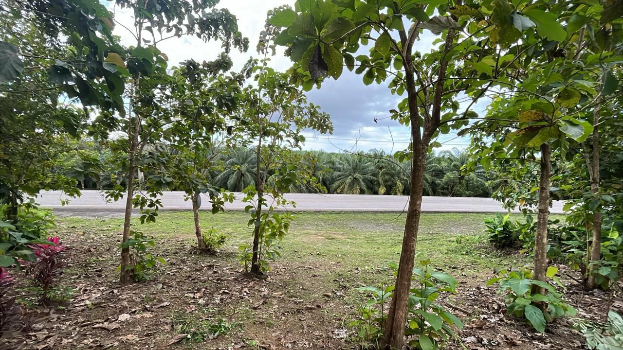 Near the Coast Home Construction Site For Sale in Ciudad Cortés - Gallery image 5