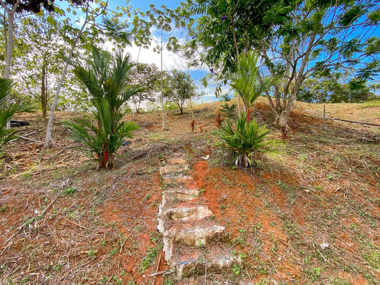 32 Acre Self Sustainable Farm with House Close Ojochal - Gallery image 55