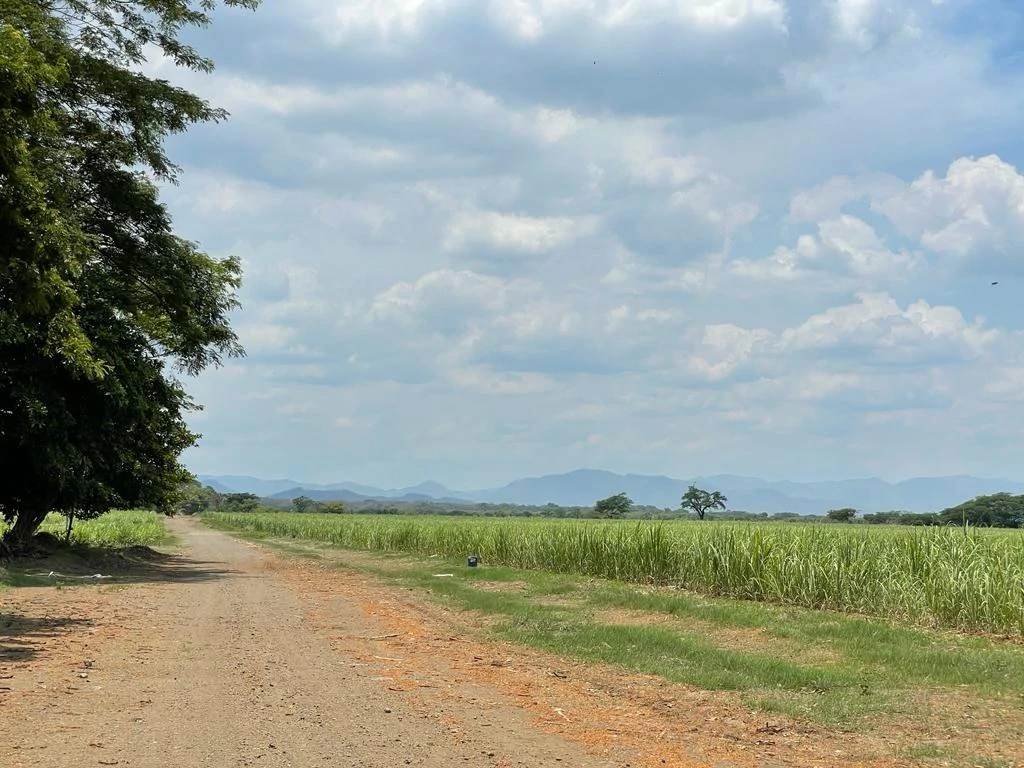 Farm for Sale to Develop Guanacaste Costa Rica - Gallery image 6
