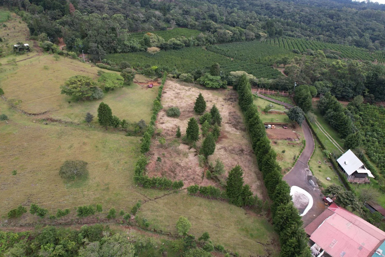 Agricultural Land For Sale in San Isidro - Gallery image 4