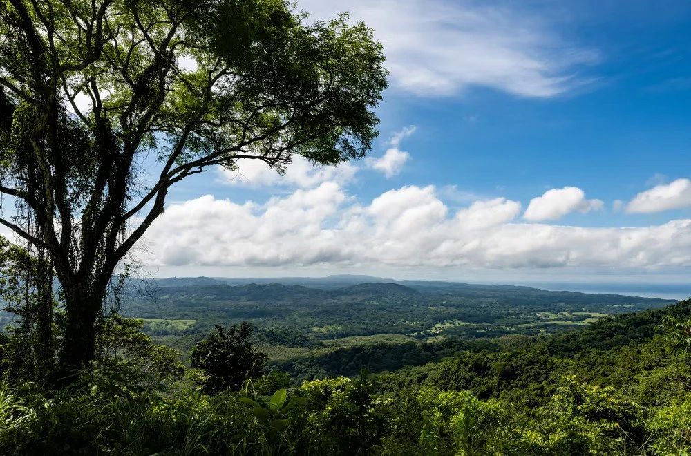 Ocean view farm for sale in Bejuco Nandayure Guanacaste Costa Rica - Gallery image 4