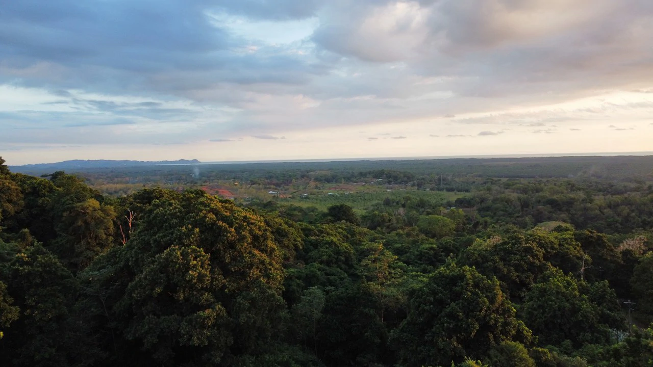 Casa Vista Hermosa: Nature refuge near Manuel Antonio National Park - Gallery image 32