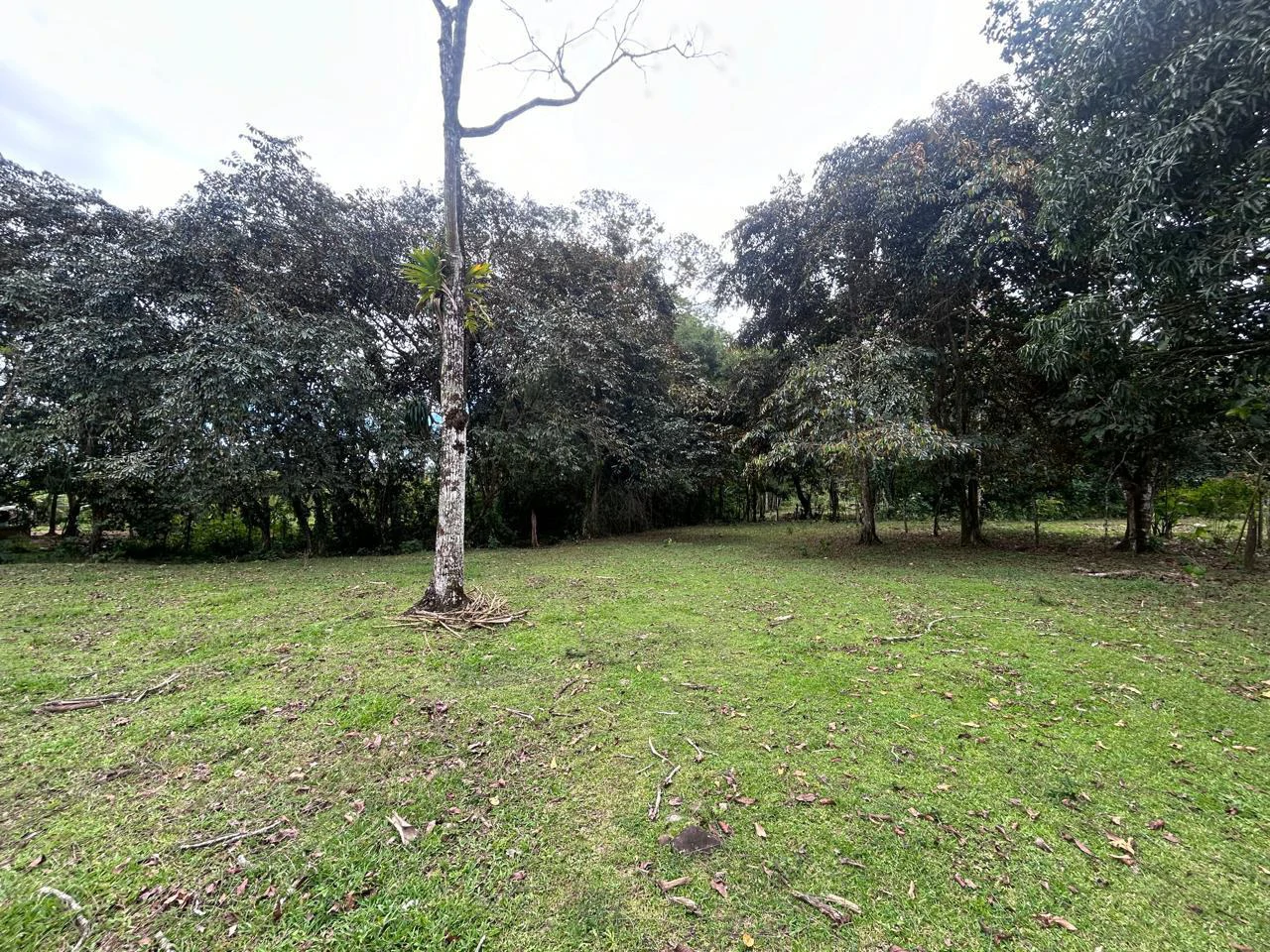 Land for Sale 4803 m2: Over 1 acre beautiful flat land Ready to build with electricity, small creek from spring. - Gallery image 7