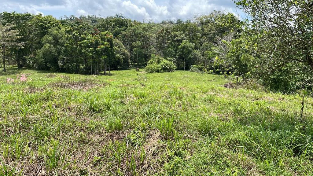 Building potential property for sale, beautiful land in the pure nature close to Bijagua - Gallery image 21