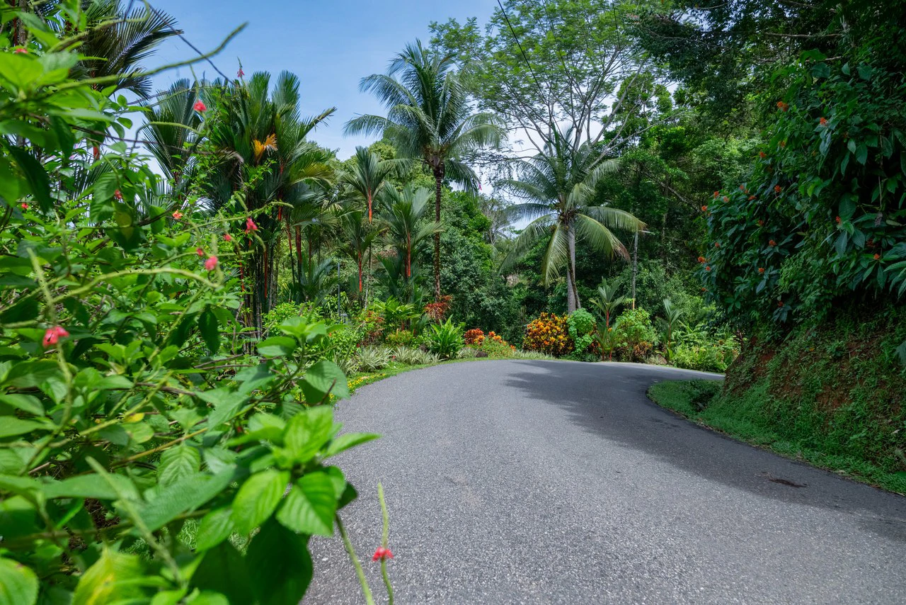 6.45 ACRES – 3 Bedroom Luxury Ocean View Home Surrounded By Vibrant Rainforest And Wildlife!!! - photo 4