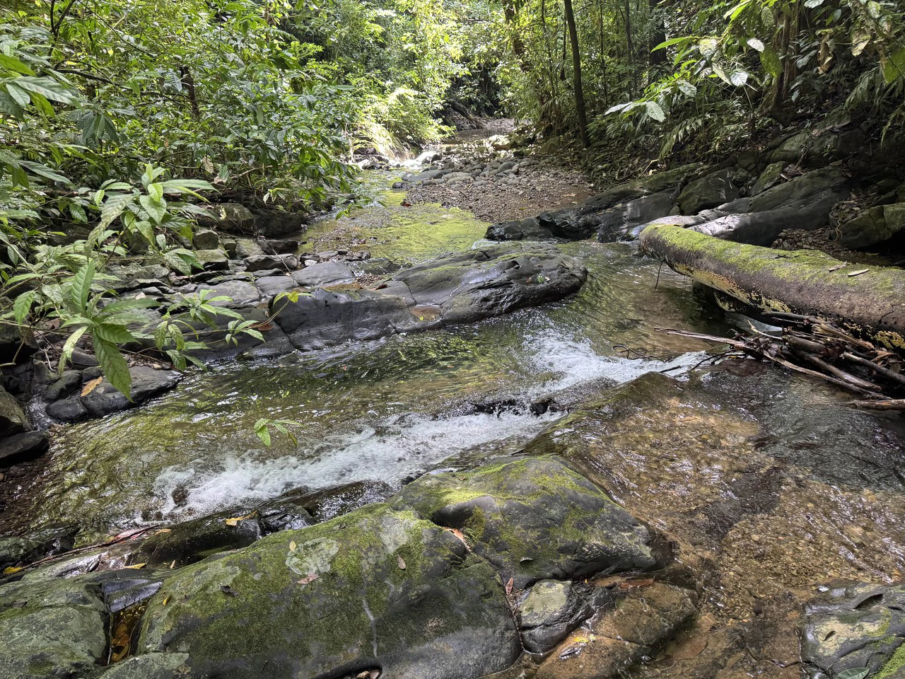 23.5 Acre Waterfall & Riverfront Estate Bahia Ballena Osa Peninsula - Gallery image 4