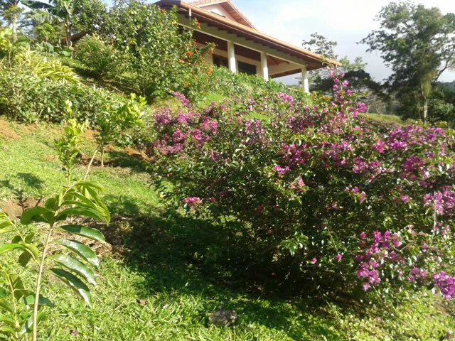 Ideal B & B Property: 3 separate Buildings. Lake & Volcano View. Owner financing available. - Gallery image 3