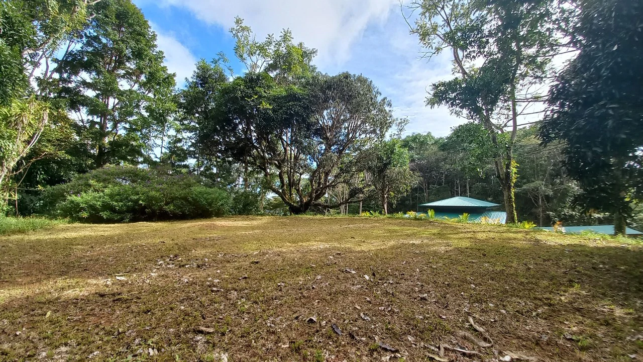 Home with Additional Building Areas and Creek on 3.5 Acres - Gallery image 38