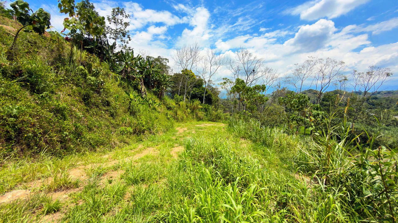 Countryside Home Construction Site For Sale in San Pedro - Gallery image 17