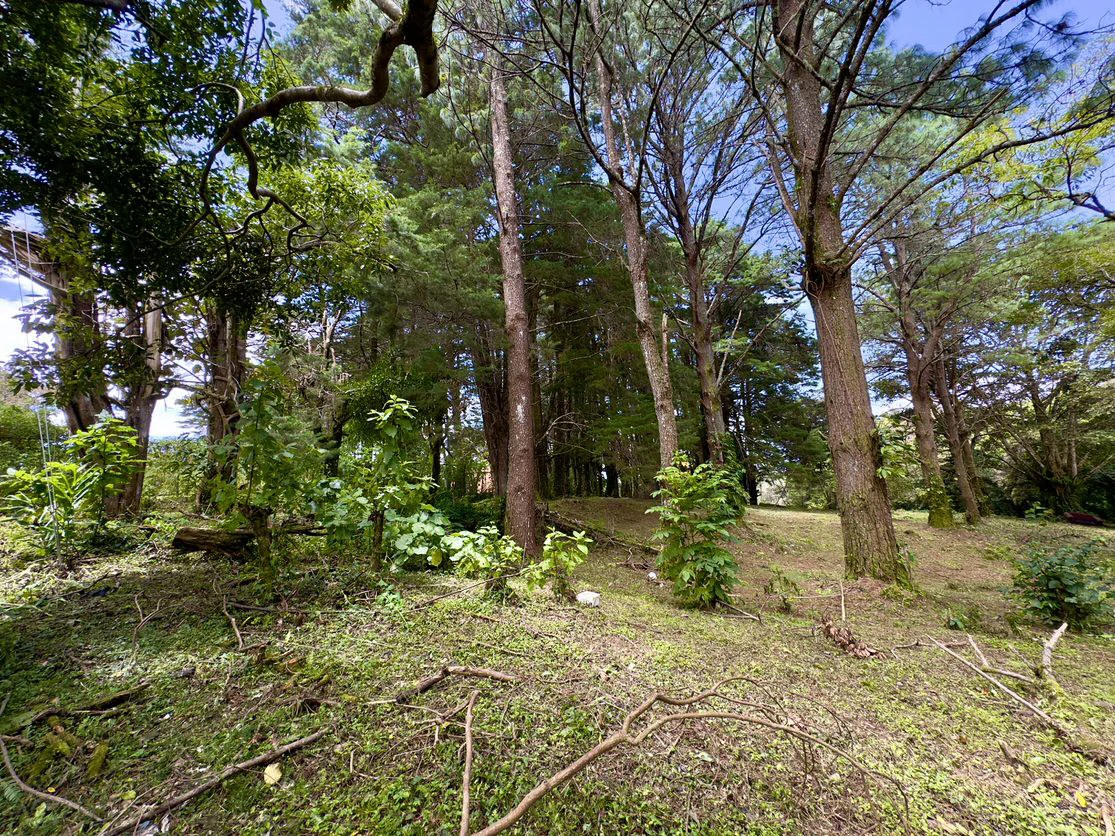 Live in harmony with nature in San Rafael de Heredia - Gallery image 7