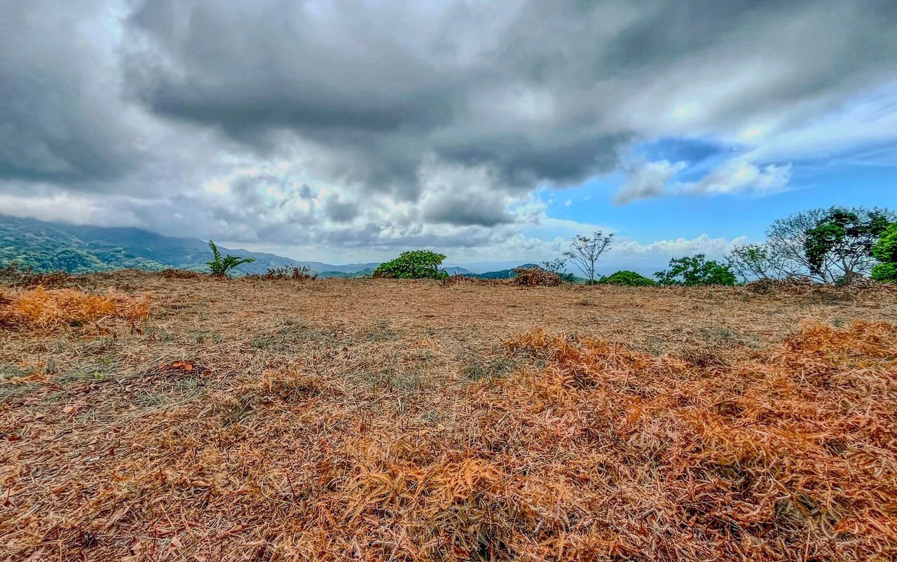 1.32 ACRES- Spectacular Ocean View In Tres Rios, Large Building Site, Legal Water And Electricity, Ready To Build & Close to Beaches!! - Gallery image 7