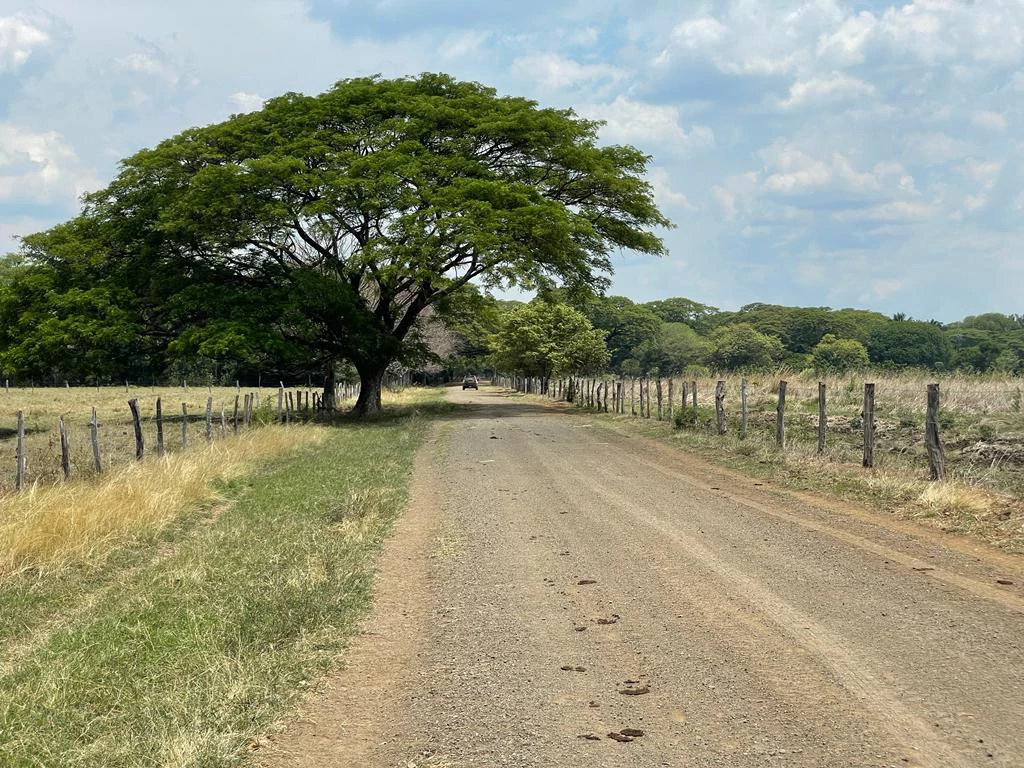 Farm for Sale to Develop Guanacaste Costa Rica - Gallery image 21