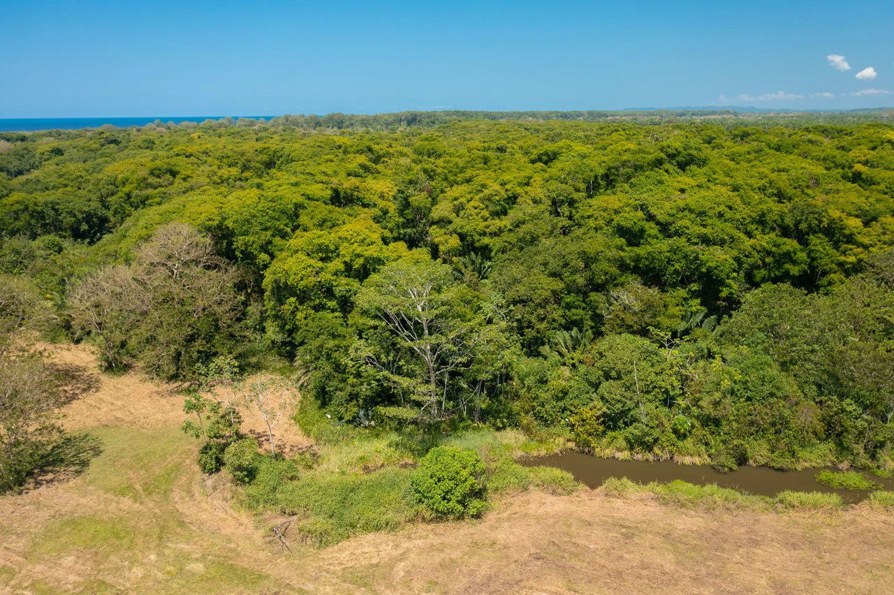 Seaside Matapalo Hatillo - Gallery image 19