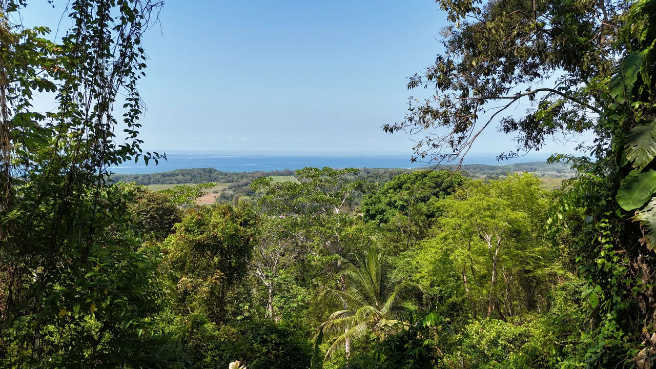 Exceptional Development Opportunity 71 acre Riverfront & Ocean View in Hatillo - Gallery image 6