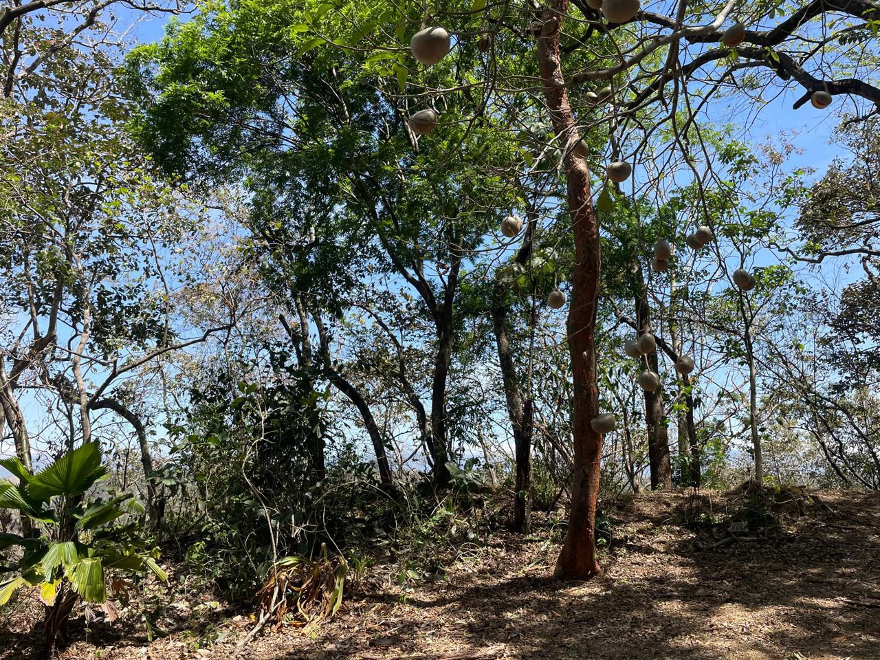 Ocean view property for sale Rodeo Ciudad Colon San Jose Costa Rica - Gallery image 10