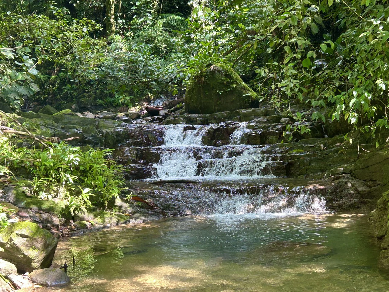 Selva Vista Estate: 5.9 Acres of Wild Beauty - Gallery image 27