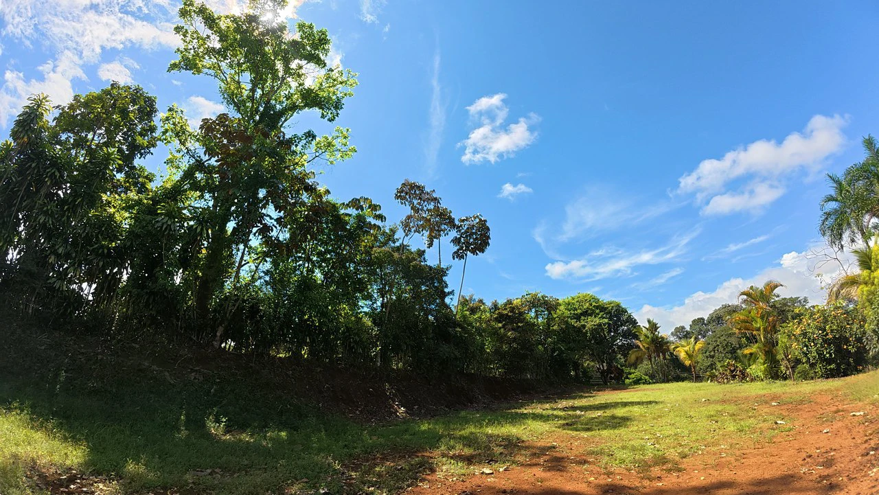 FOR SALE IN LAS MERCEDES DE CAJÓN, PEREZ ZELEDON: Lot for Sale in Las Mercedes de Cajon, Perez Zeledon 2,466 m² - Gallery image 3