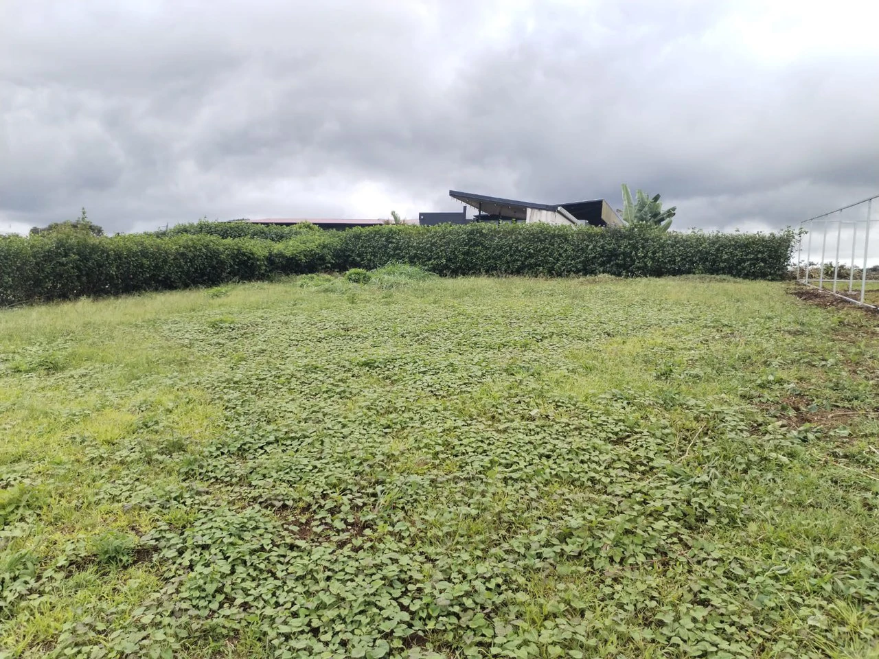 Lot for Sale in San Antonio de la Cueva, Naranjo: Perfect for Building in a Natural and Secure Setting - Gallery image 7