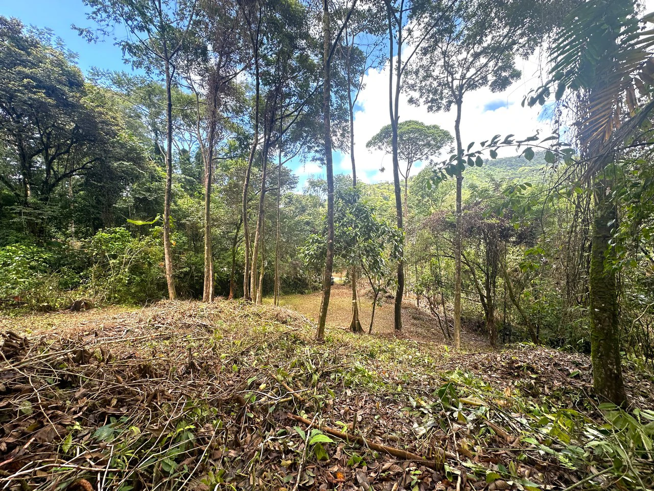 Mountain View Building Lot in Prestigious Gated Community With Private Waterfall & Two Building Sites: Mountain Home Construction Site For Sale in Portalon - Gallery image 16