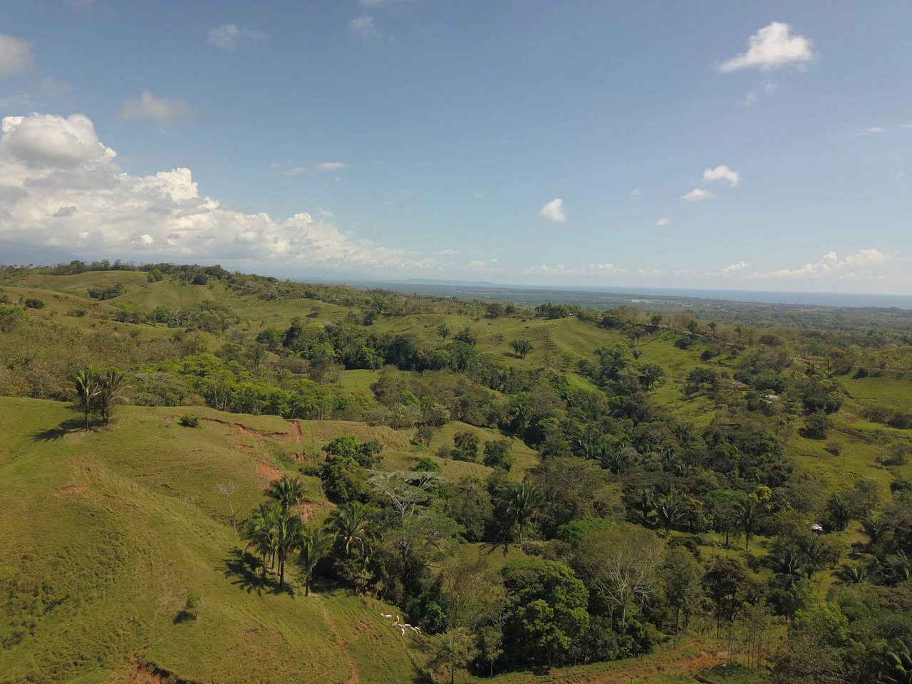 Finca Guapinol de Parrita: Near the Coast, Mountain and Countryside Agricultural Land For Sale in Parrita - Gallery image 5