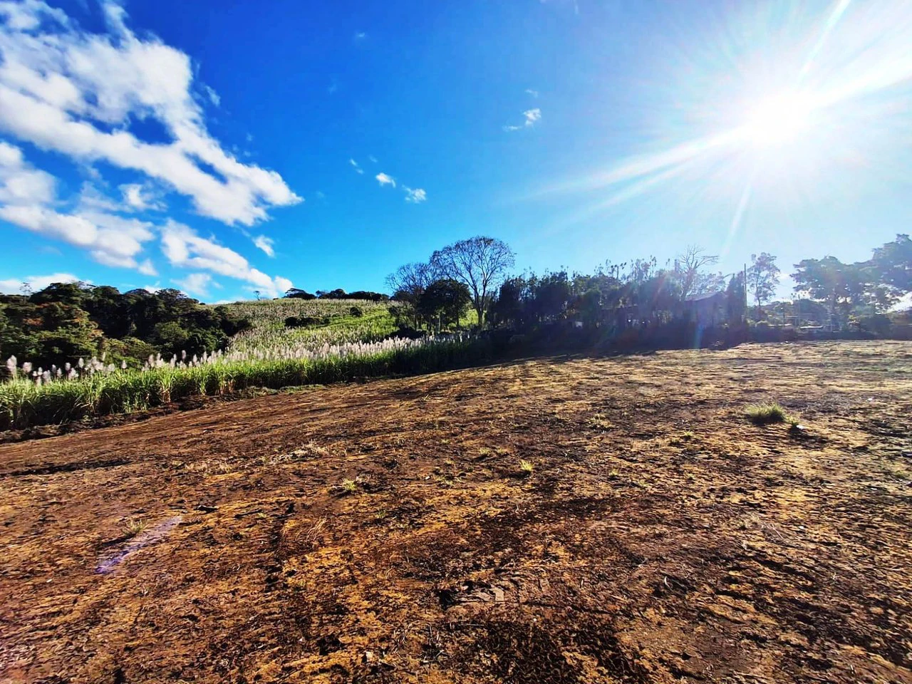 Panoramic Peaceful Escape...: 6,110 m2 with Unobstructed City Views! - Gallery image 7