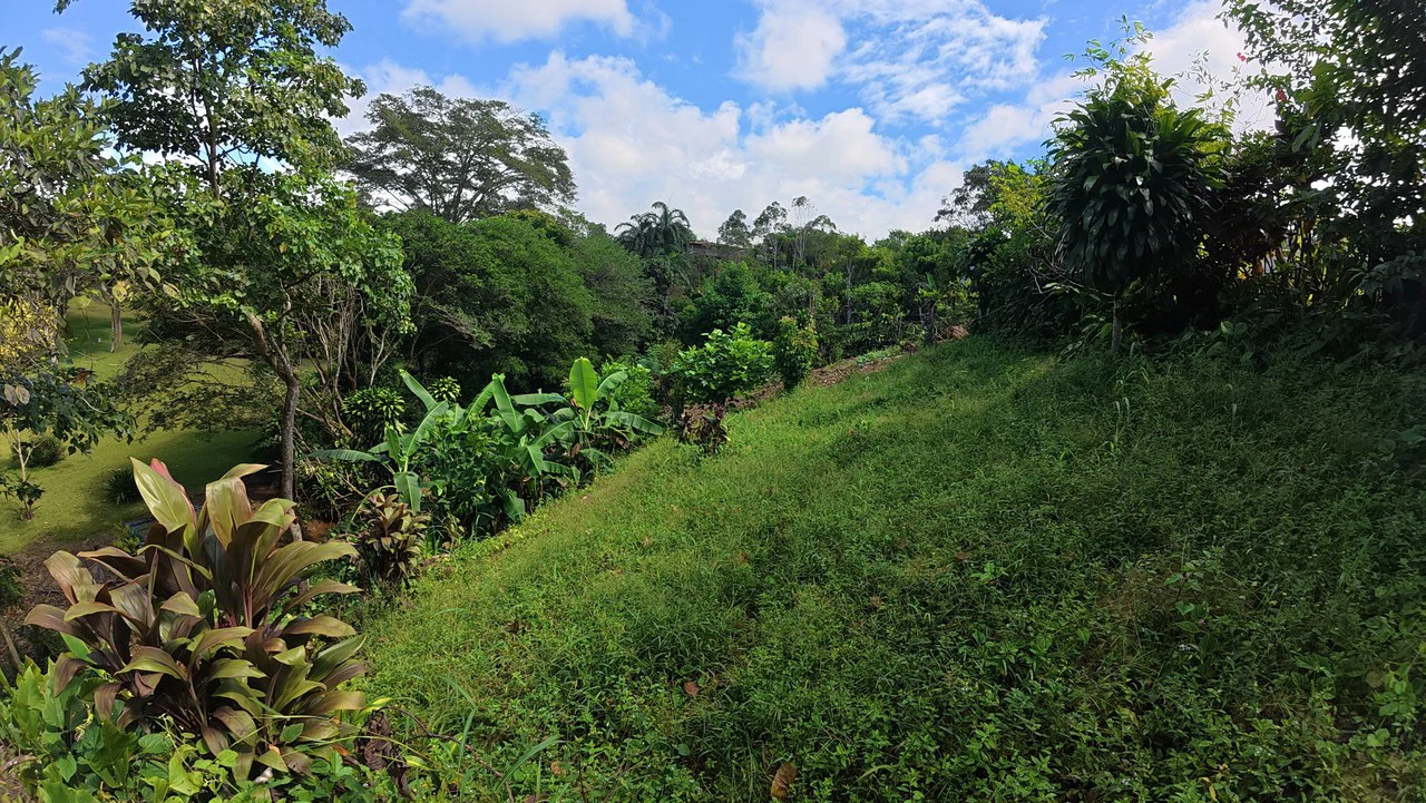 FOR SALE IN LAS MERCEDES DE CAJÓN, PEREZ ZELEDON: Lot for Sale in Las Mercedes de Cajon, Perez Zeledon 2,466 m² - Gallery image 4