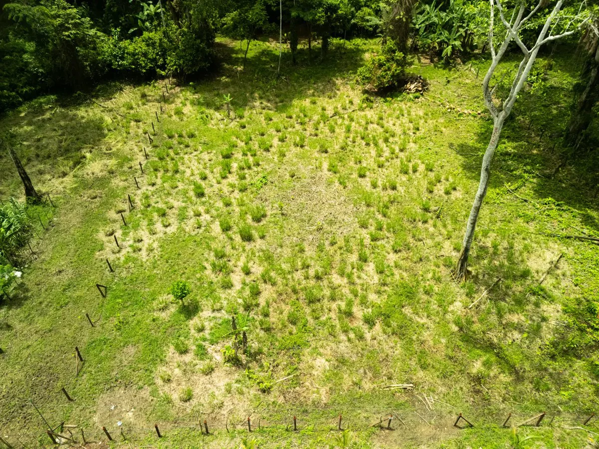 ID 1134: 3960m² Flat Development Lot Near Cahuita, Costa Rica - photo 8