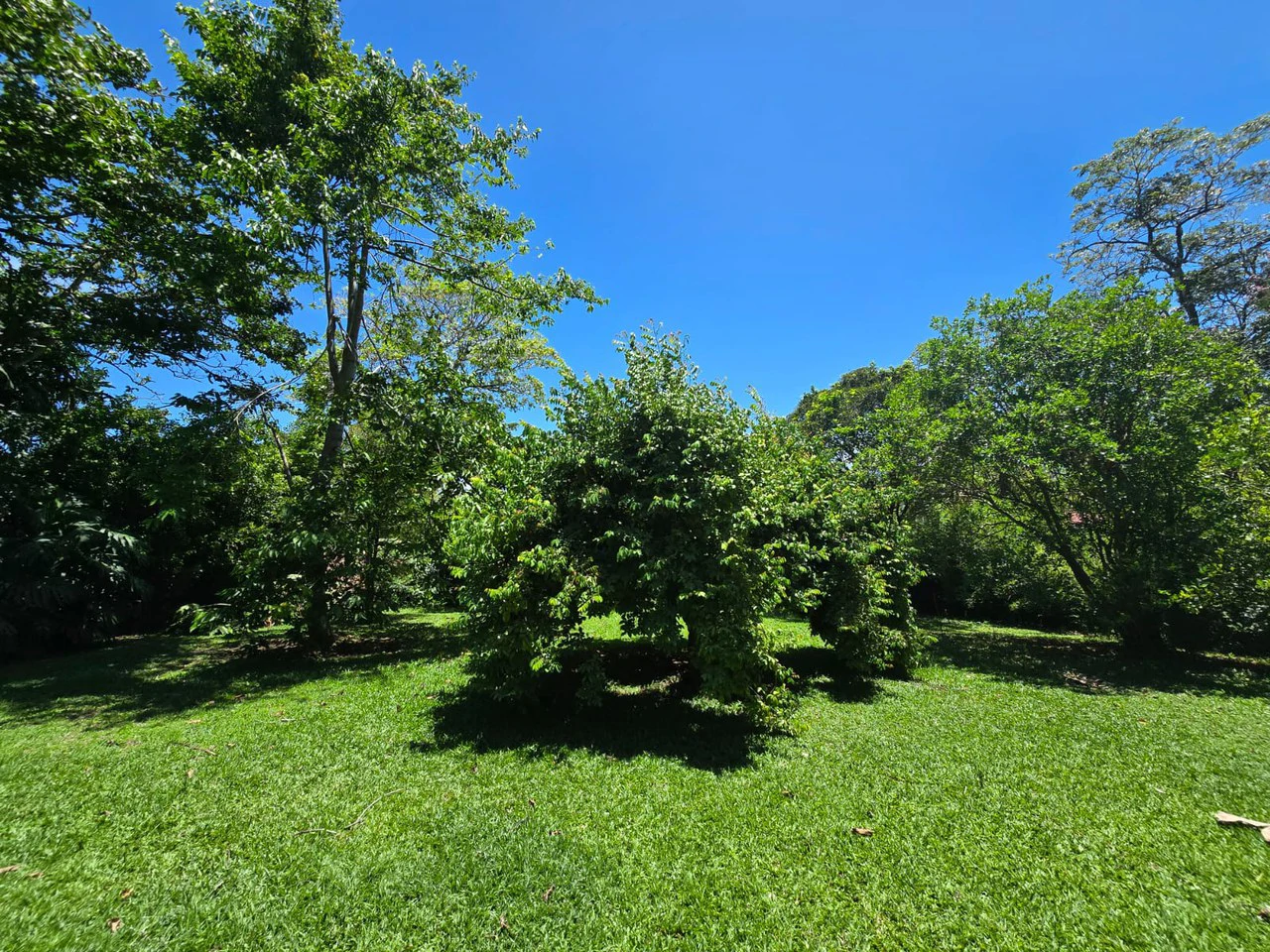 Land for Sale in Condominium in Ciudad Colón Costa Rica - Gallery image 6