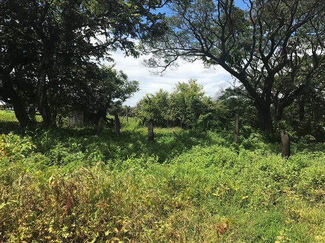 Large Development Land for Sale in Liberia, Guanacaste, Costa Rica - Gallery image 25