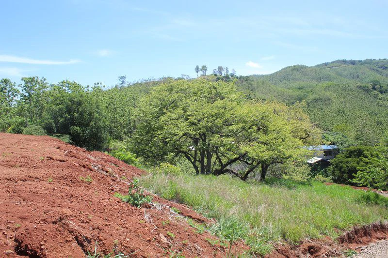 Lotes Alto Domingo - 5 Spacious Residential Lots with Forest and Mountain Vistas, Just 10 Minutes from the Beach: Mountain Home Construction Site For Sale in Sámara - Gallery image 10