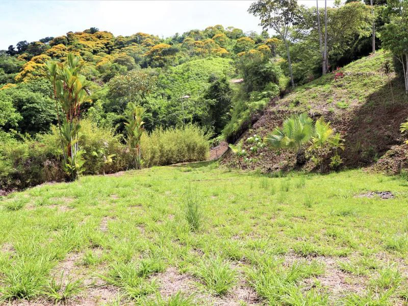 Captivating 3.15-Acre Property: Huge Pricedrop! Firesale Oceanview Lot in Tres Rios - Gallery image 39