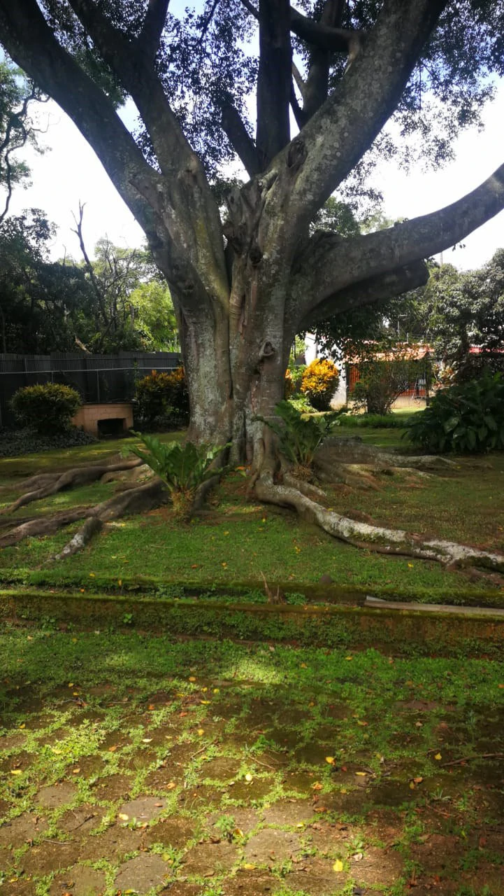 Home Construction Site For Sale in Escazú - Gallery image 13