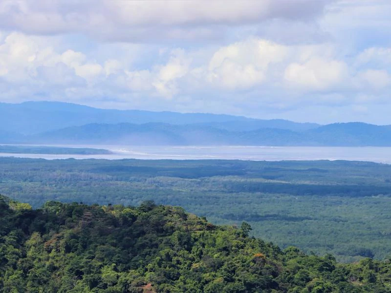 Captivating 3.15-Acre Property: Huge Pricedrop! Firesale Oceanview Lot in Tres Rios - Gallery image 6