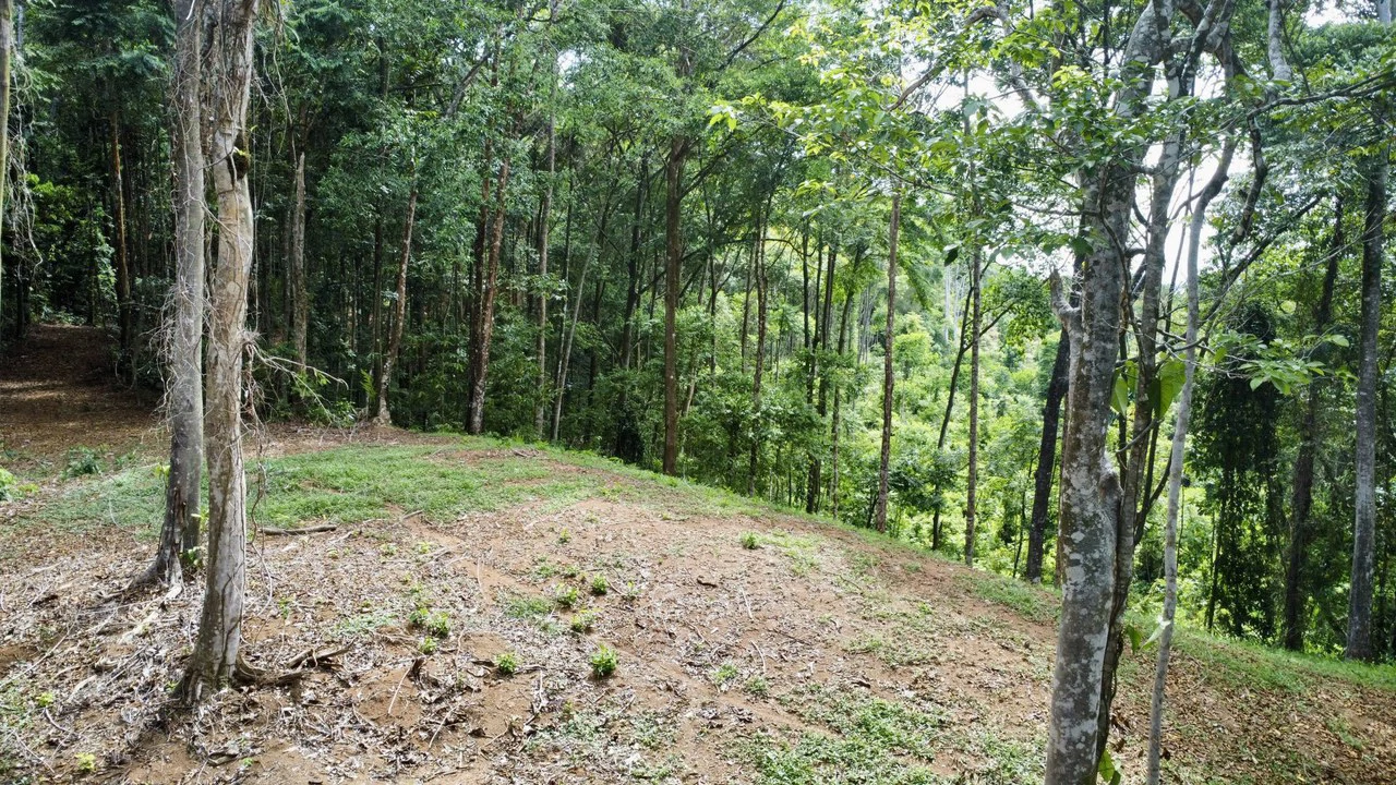 5.11 ACRES – Ocean And Mountain View Estate Property, Several Flat Buildable Areas, Legal ASADA Water!!! - Gallery image 6