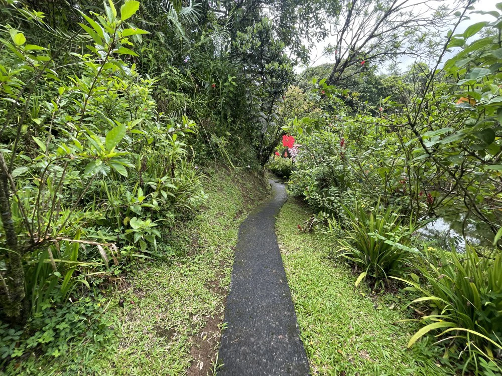 Nuevo arenal: Looking for a Property to Develop Family Residences with Lake Views? - Gallery image 41