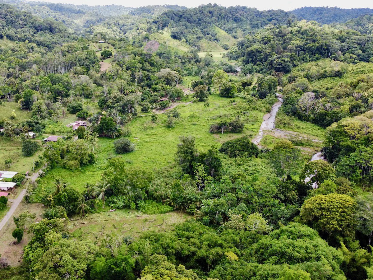 Jungle View Property in Osa Peninsula - Gallery image 2