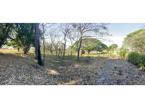 For Sale: This beautiful flat lot in La Ceiba of Orotina - Gallery image 7