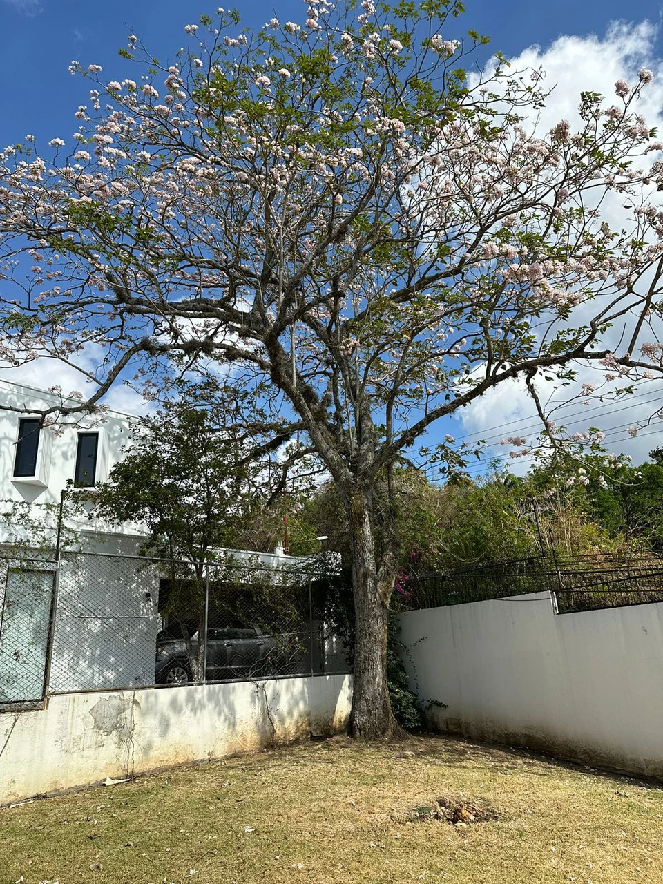 For sale house in Alto de las Palomas, Santa Ana - Gallery image 6