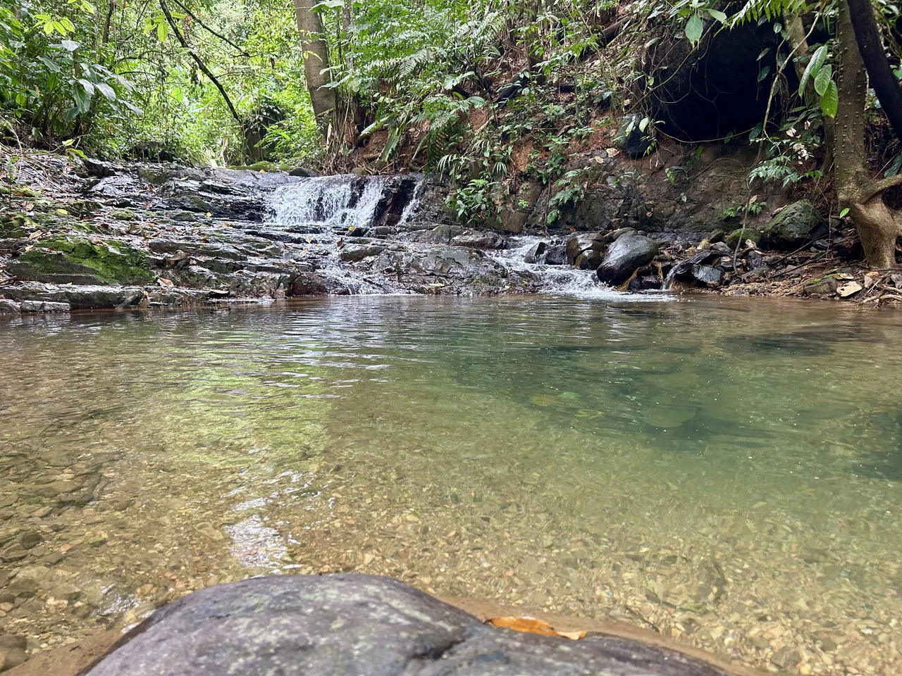 Selva Vista Estate: 5.9 Acres of Wild Beauty - Gallery image 31